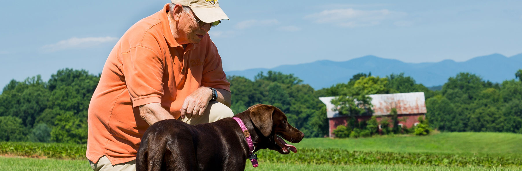 A man plays fetch with his dog