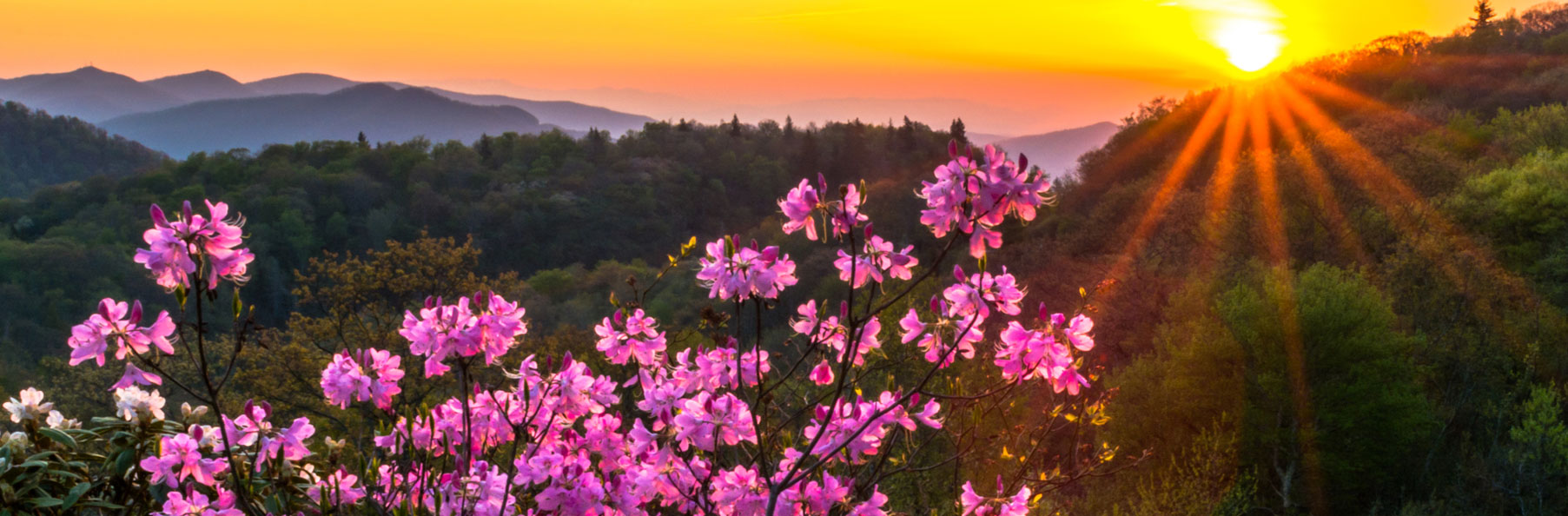 A sunset in spring in the mountains near Culpeper VA